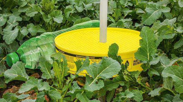 Gelbe Schale mit Stab steht auf einem Feld mit grünen Pflanzen, daneben liegt eine grüne Plastikflasche. (automatisch generiert durch KI)
