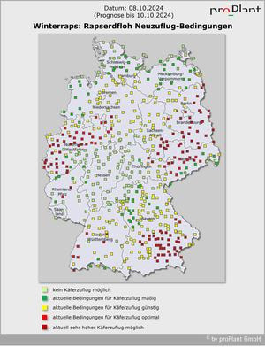 Deutschlandkarte mit farbigen Quadraten zur Darstellung der Bedingungen für Rapserdfloh-Neuzuflug. Datum 8.10.2024. Verschiedene Farben zeigen Bedingungen an. (automatisch generiert durch KI)