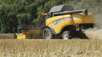 Ein gelber Mähdrescher erntet ein Feld vor einem Hintergrund aus Bäumen. Staub wirbelt hinter der Maschine auf. (automatisch generiert durch KI)