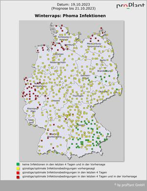 Karte von Deutschland zeigt Phoma-Infektionen bei Winterraps. Verschiedene Symbole markieren aktuelle und prognostizierte Infektionsbedingungen. (automatisch generiert durch KI)