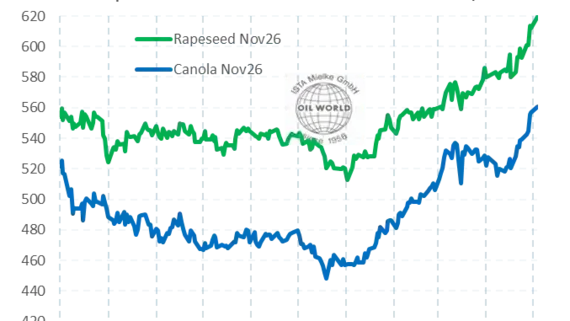 Diagramm zeigt Preisentwicklung von EU-Raps (grün) und kanadischem Canola (blau) in US-Dollar pro Tonne von Juli 2025 bis Mai 2026. (automatisch generiert durch KI)
