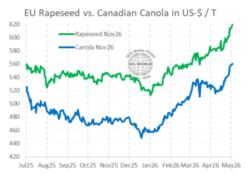 Diagramm zeigt Preisentwicklung von EU-Raps (grün) und kanadischem Canola (blau) in US-Dollar pro Tonne von Juli 2025 bis Mai 2026. (automatisch generiert durch KI)
