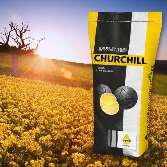 CHURCHILL - Mehr als nur Ertrag