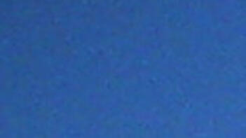 Blühendes Rapsfeld unter blauem Himmel. (automatisch generiert durch KI)