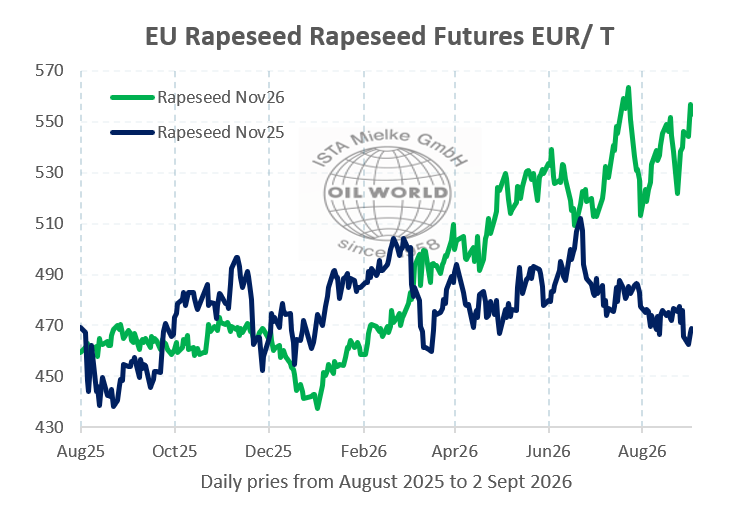 Liniendiagramm zeigt EU-Raps-Futures von August 2025 bis September 2026. Zwei Linien: grün für November 2026, blau für November 2025. (automatisch generiert durch KI)