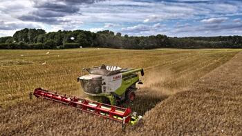 Mähdrescher erntet Getreide auf einem Feld unter bewölktem Himmel, im Hintergrund sind Bäume zu sehen. (automatisch generiert durch KI)