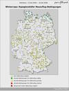 Aktuelle Prognose zu Rapsschädlingen (KW16) 