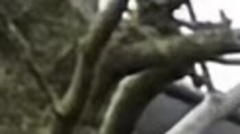 Gruppe von neun Personen steht draußen vor landwirtschaftlicher Maschine, umgeben von Autos und Gebäuden. (automatisch generiert durch KI)