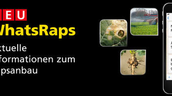 Werbung mit Smartphone-App WhatsRaps für aktuelle Informationen zum Rapsanbau, umgeben von Bildern von Feldern und Rapsblüten. (automatisch generiert durch KI)