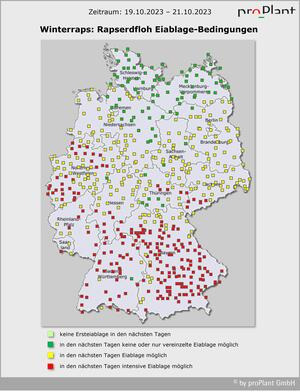 Karte von Deutschland zeigt Bedingungen für Rapserdfloh-Eilage mit farbigen Quadraten: grün, gelb, rot und grau. Zeitraum: 19.10.2023 - 21.10.2023. (automatisch generiert durch KI)