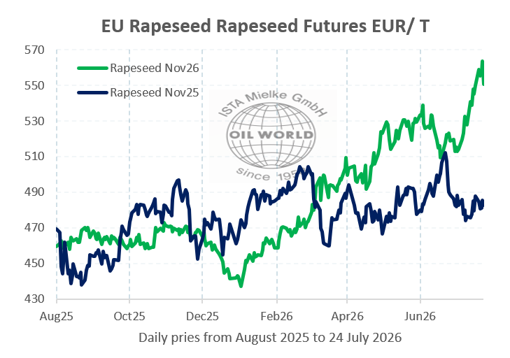 Liniendiagramm zeigt Rapspreis-Futures in EUR/T von August 2025 bis Juli 2026. Zwei Linien, grün für Nov26 und blau für Nov25, steigen an. (automatisch generiert durch KI)
