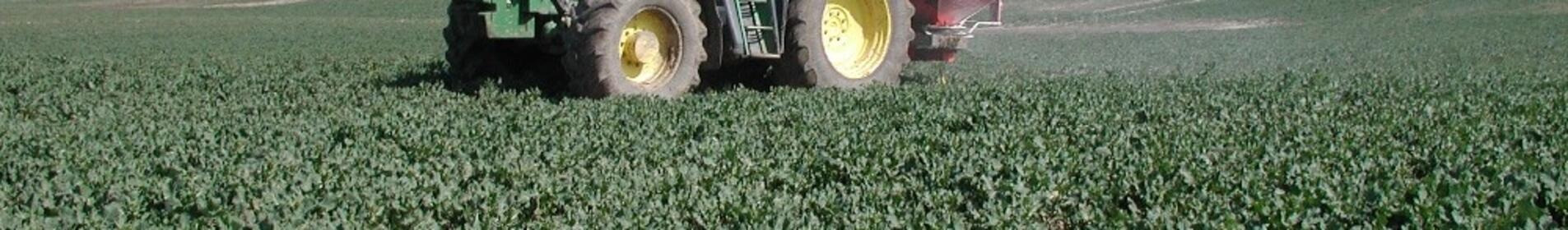 Traktor auf Feld mit grünem Bewuchs unter blauem Himmel. (automatisch generiert durch KI)