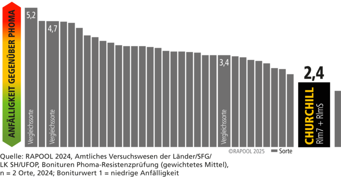 CHURCHILL – Spitzen-Phomaleistung durch Phoma-Blocker Rlm7 + RlmS