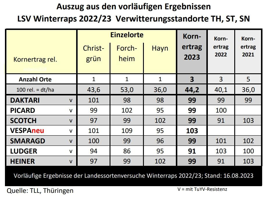 Auszug der vorläufigen Ergebnisse LSV Winterraps 2022/23 für TH, ST, SN. Tabelle mit Kornertrag in dt/ha für verschiedene Sorten. Stand: 16.08.2023. (automatisch generiert durch KI)