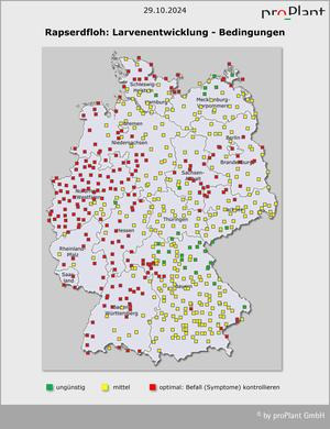 Karte von Deutschland zeigt Rapserdfloh-Befall mit farbcodierten Quadraten: rot für ungünstig, gelb für mittel, grün für optimal. (automatisch generiert durch KI)