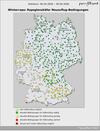 Aktuelle Prognose zu Rapsschädlingen (KW15) 