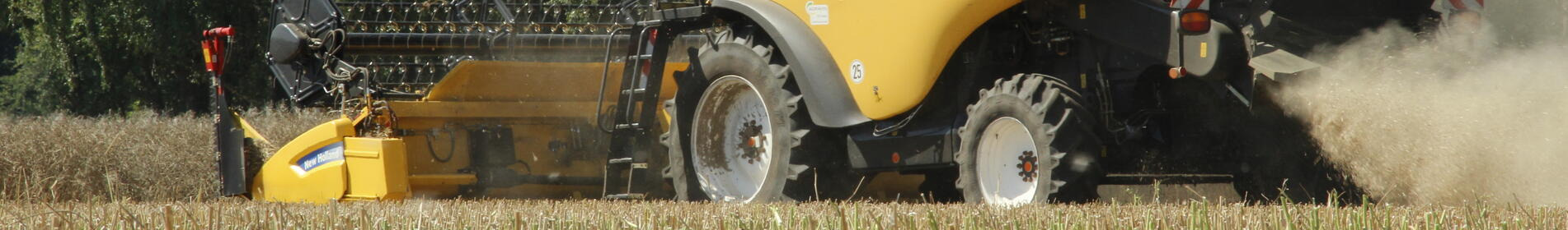 Ein gelber Mähdrescher erntet ein Feld vor einem Hintergrund aus Bäumen. Staub wirbelt hinter der Maschine auf. (automatisch generiert durch KI)
