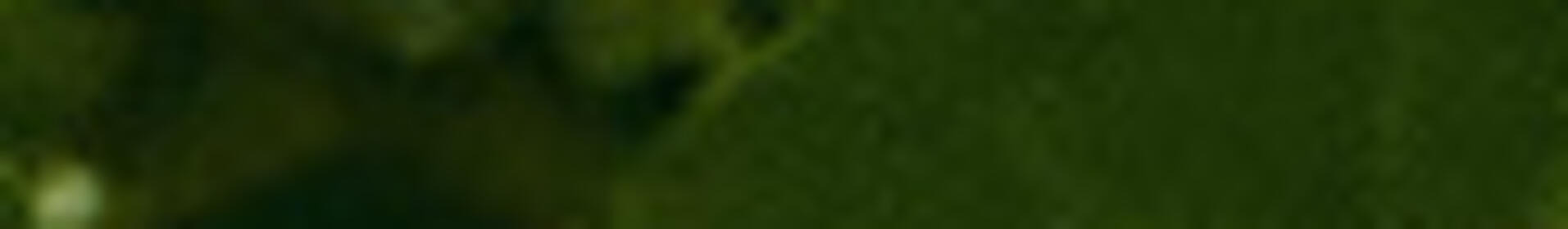 Gelbe Schale mit Stab steht auf einem Feld mit grünen Pflanzen, daneben liegt eine grüne Plastikflasche. (automatisch generiert durch KI)