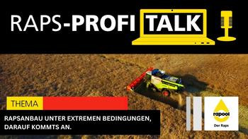 Profitalk live aus Magedeburg