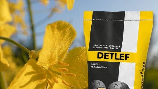 DETLEF - Ertrag ist kein Zufall