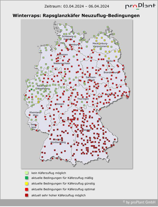 Karte von Deutschland zeigt Bedingungen für Rapsglanzkäfer-Neuzuflug vom 03.04.2024 bis 06.04.2024 in verschiedenen Farben für unterschiedliche Befallsstärken. (automatisch generiert durch KI)