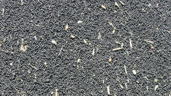 Nahaufnahme von schwarzen Rapssamen mit vereinzelten Stängeln und Schalenresten. (automatisch generiert durch KI)