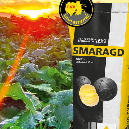 SMARAGD - SPEZIALIST IN DER FRÜHSAAT