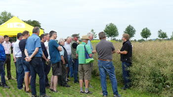 Eine Gruppe von Menschen steht auf einem Feld neben hohen Pflanzen und hört einer Person zu. Im Hintergrund ist ein gelbes Zelt zu sehen. (automatisch generiert durch KI)