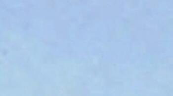 Sonnenaufgang über einem Feld mit grünem Bewuchs, ein großer Baum rechts, klare Himmel und Wolken im Hintergrund. (automatisch generiert durch KI)