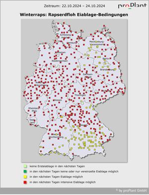 Karte von Deutschland mit farbigen Markierungen, die die Bedingungen für die Eiablage des Rapserdflohs vom 22.10.2024 bis 24.10.2024 zeigen. (automatisch generiert durch KI)