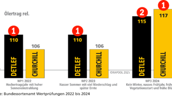 Balkendiagramm zeigt Ölertrag von Detlef und Churchill in den Jahren 2022 bis 2024. Churchill übertrifft Detlef in allen Jahren. (automatisch generiert durch KI)
