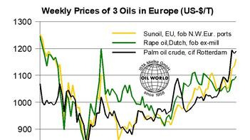 Diagramm der wöchentlichen Preise von Sonnen-, Raps- und Palmöl in Europa von Januar 2023 bis Oktober 2024 in US-Dollar pro Tonne. (automatisch generiert durch KI)