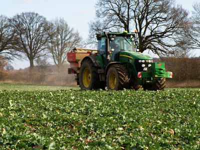 Trecker mit Düngerstreuer fährt durch Rapsbestand