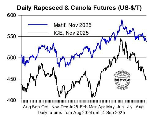 Diagramm der täglichen Raps- und Canola-Futures in US-Dollar pro Tonne für Matif und ICE von August 2024 bis September 2025. (automatisch generiert durch KI)
