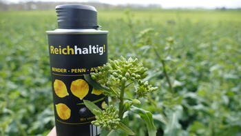 Eine Hand hält eine schwarze Dose mit gelber Aufschrift vor einem grünen Feld. (automatisch generiert durch KI)