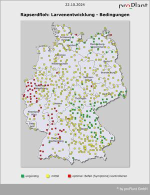 Karte von Deutschland mit Markierungen zur Larvenentwicklung des Rapserdflohs. Grüne, gelbe und rote Punkte zeigen Bedingungen an. (automatisch generiert durch KI)