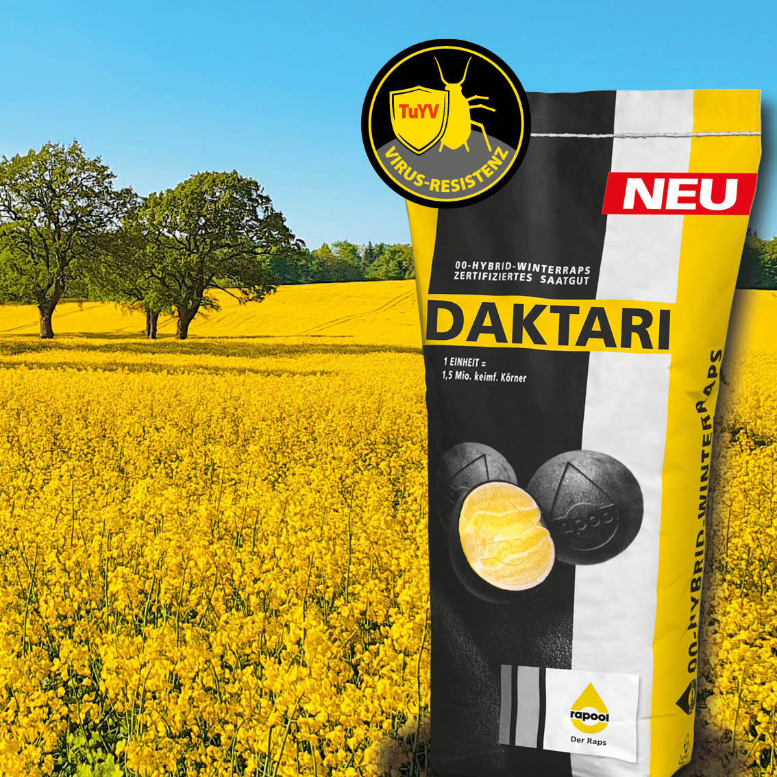 Verpackung von Daktari-Hybridsaatgut in einem blühenden Rapsfeld, mit TÜV-Resistenzsymbol und der Aufschrift `NEU`. (automatisch generiert durch KI)