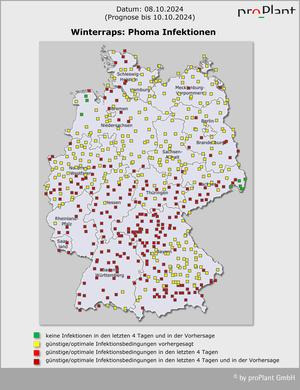Karte von Deutschland zeigt Phoma-Infektionen in Winterraps mit farbigen Quadraten, die Infektionsbedingungen darstellen. Datum 08.10.2024. (automatisch generiert durch KI)